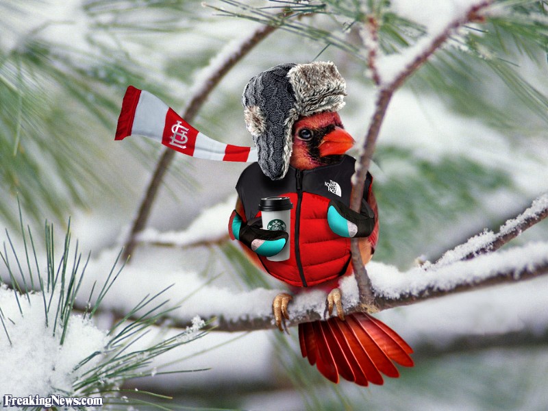 More information about "Game Thread: Twins@Cardinals 6/15 7:15PM"