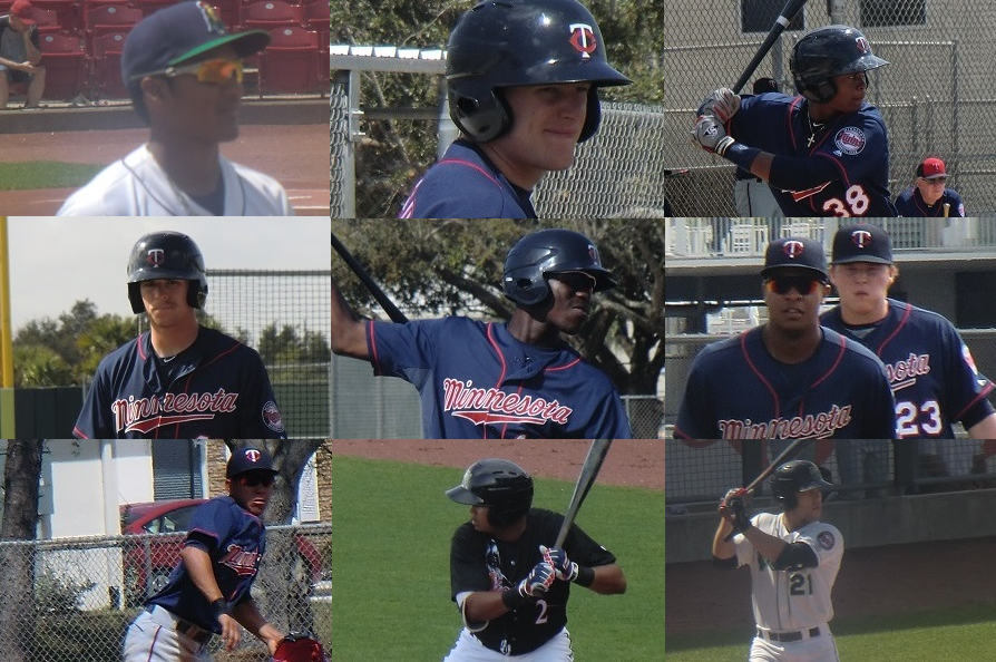 Twins Organizational Depth Chart: The Infielders