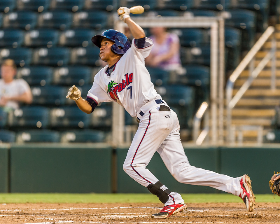 Twins Minor League Report (7/6): Arcia Slams, Gonsalves Great