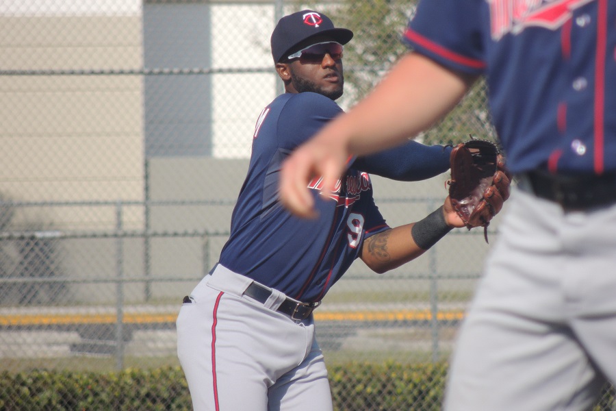 More information about "Twins Minor League Report (6/1): Niko Goodrum Doubles Down On Season-Long Hitting Streak"