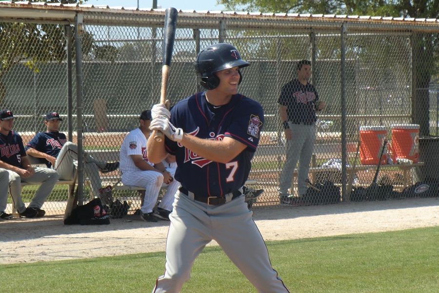 Twins Minor League Report (8/9): Palacios, Wickens, Vargas and LeBlanc Shine