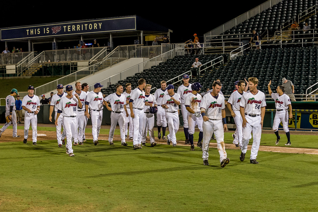 More information about "Twins Minor League Leader Board (through June 26)"