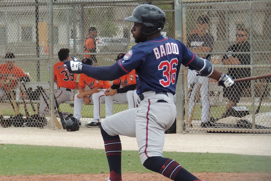 Twins Minor League Report (4/15): Baddoo, Schales Power Wins
