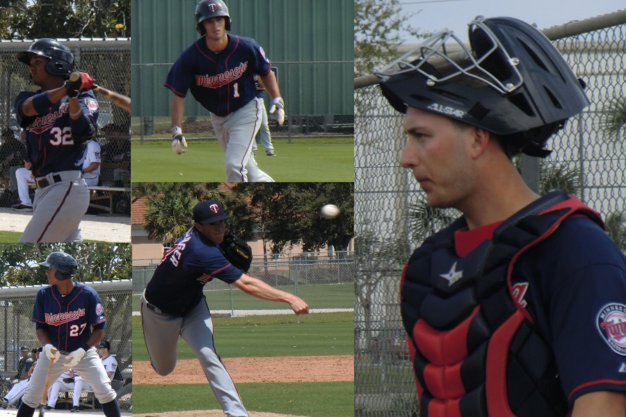 More information about "Seth's Midseason Twins Top 40 Prospect Rankings: Part 1 (21-40)"