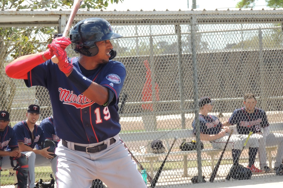 More information about "Twins Minor League Report (7/15): Javier Breaks Out with Big Day"