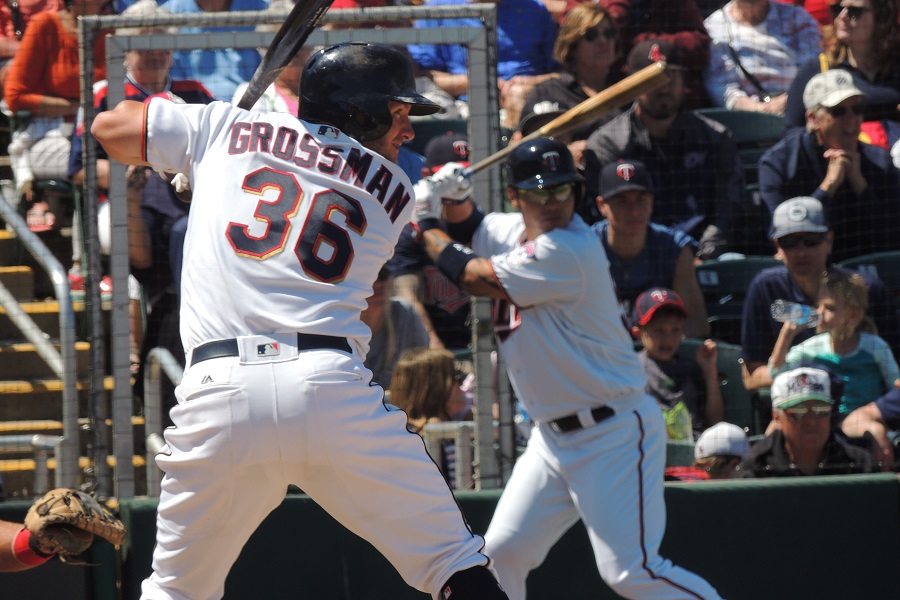 2017 Twins Player Predictions: The Designated Hitters