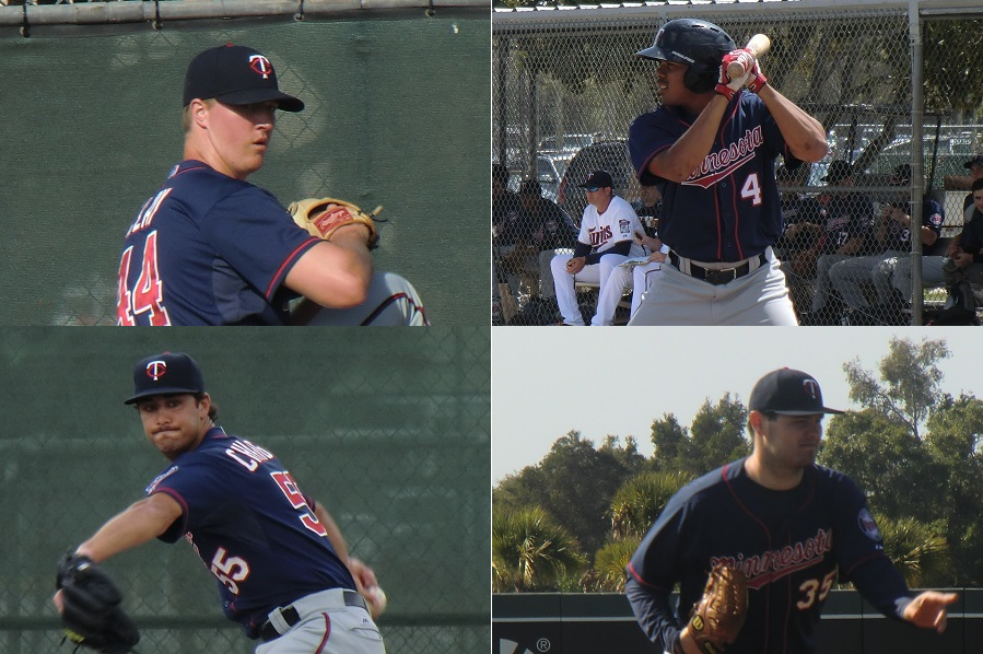 Twins Minor League Leaderboard (Through 5/6)