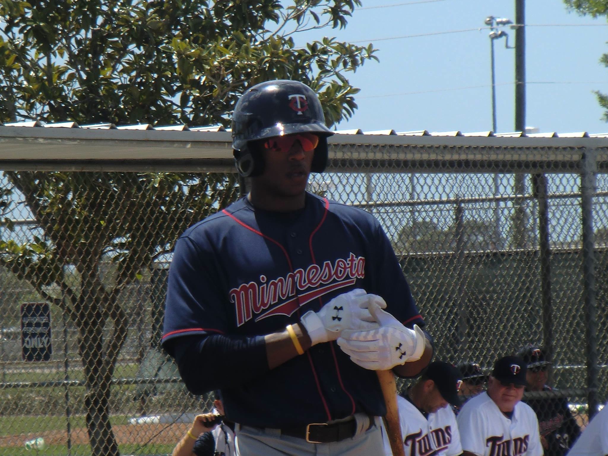 More information about "Twins Minor League Report (5/11): Dean Dominates, Hicks Promoted"