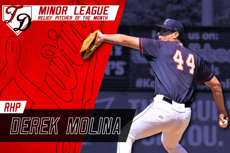 More information about "Twins Minor League Relief PItcher of the Month - June 2019"