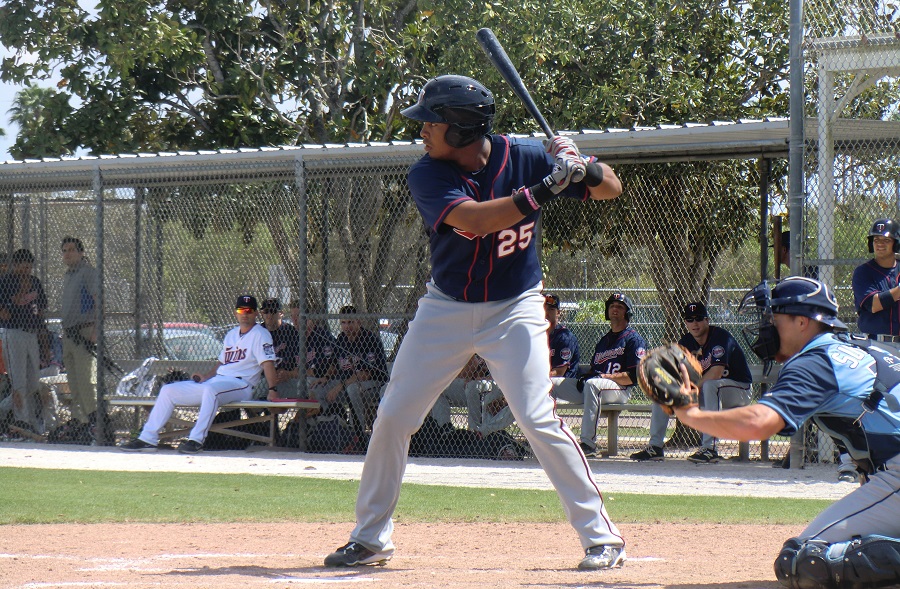 More information about "Twins Minor League Report (6/25): Gonsalves' AA Debut"