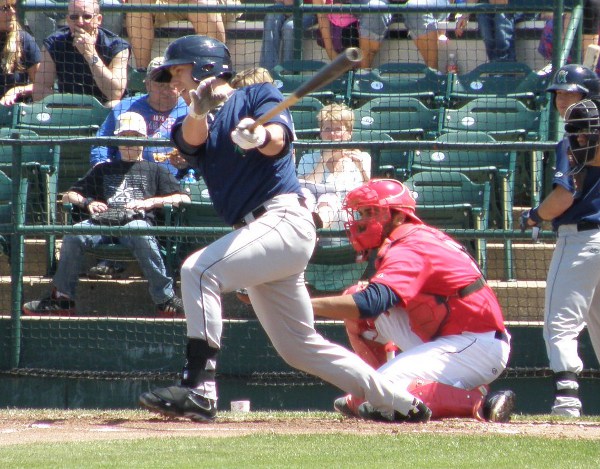 More information about "Minnesota Twins Minor League Hitter of 2014"