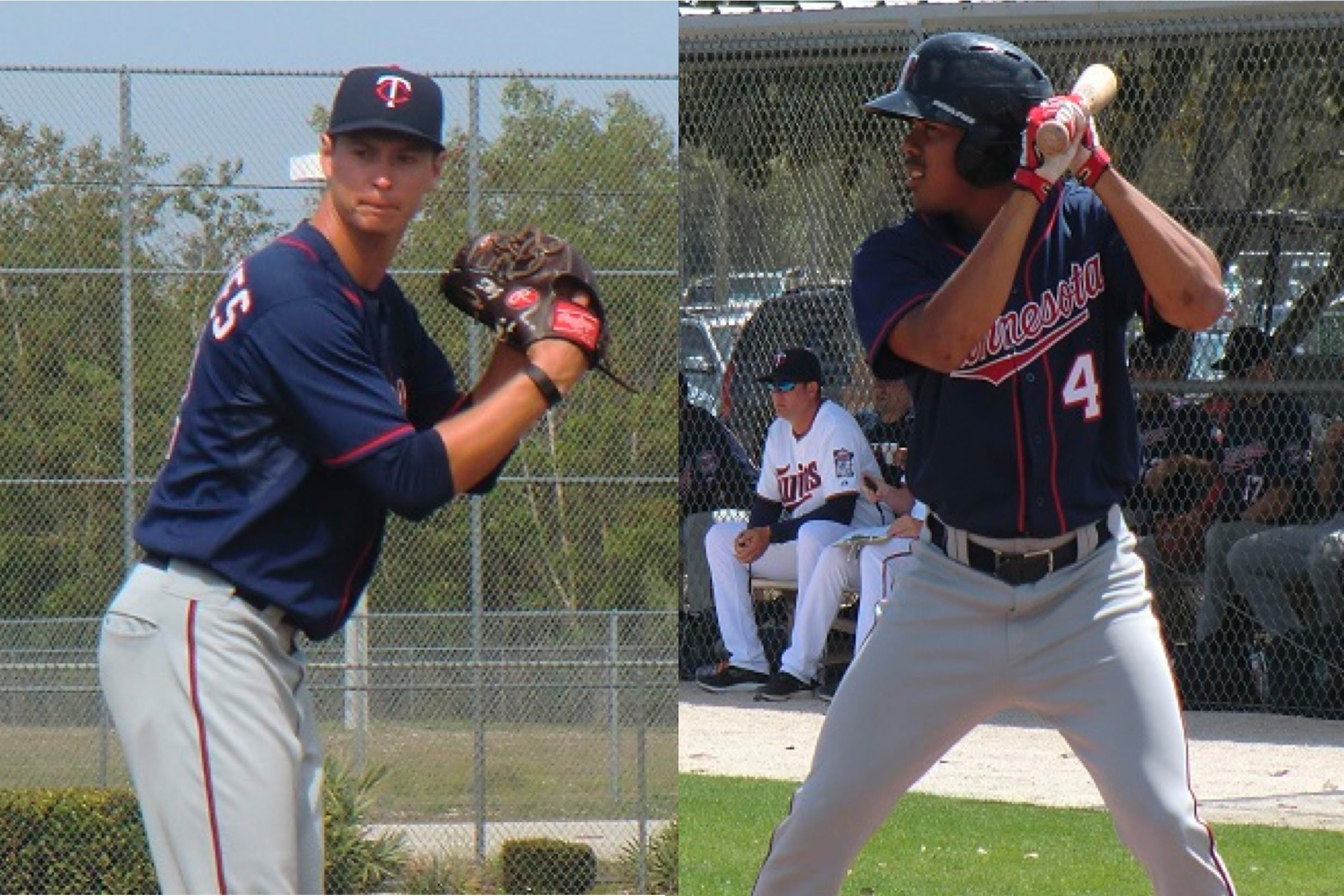 More information about "Twins Minor League Report (4/19): Gonsalves Keeps Rolling"