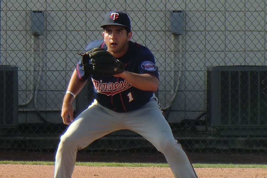 More information about "Twins Minor League Report (7/15): Moves and Wins"