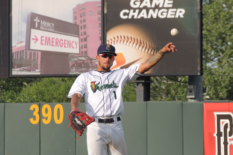 More information about "Twins Minor League Report (8/22): Blank Blanks Reds"