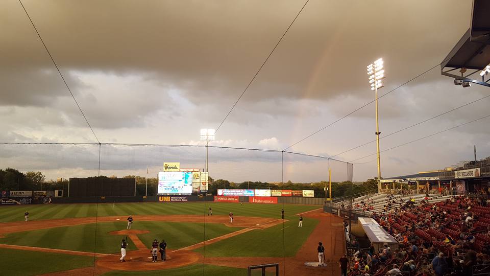 Twins Minor League Leaderboard (Through June 4)