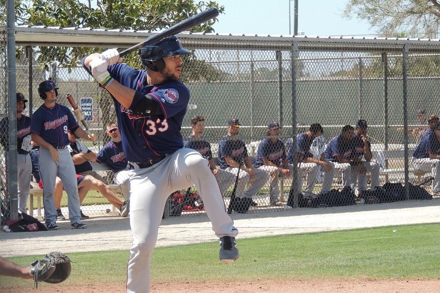 More information about "Twins Minor League Report (5/6): Miracle Win Wild One"