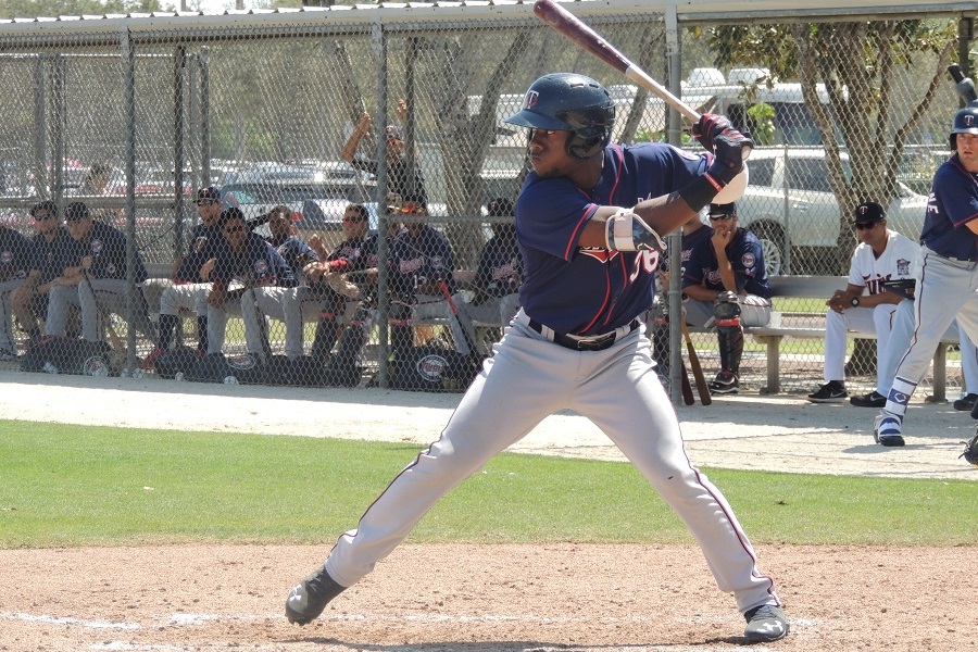 More information about "Twins Minor League Report (7/23): Slegers Continues Strong Streak"