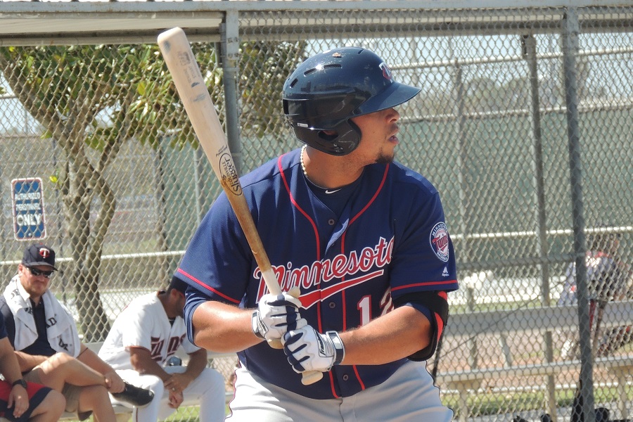 More information about "Twins Minor League Report (8/26): Elizabethton Clinches Playoff Spot Again"