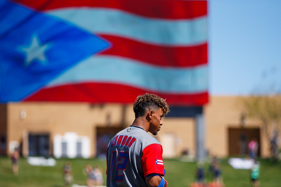 Ex-Met Carlos Beltran displays the Puerto Rican flag, gets