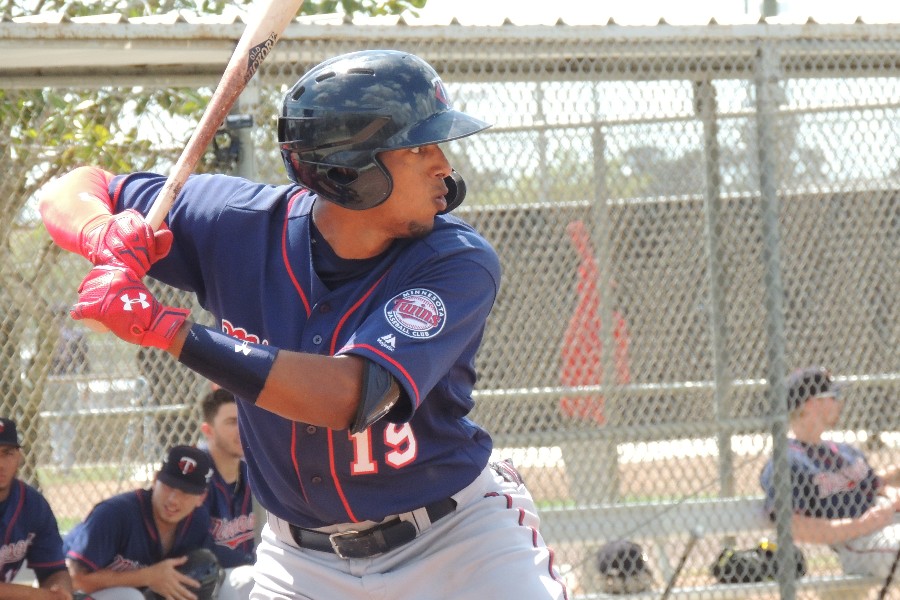 More information about "Twins Minor League Report (6/8): I Wander Who Hit That Grand Slam"