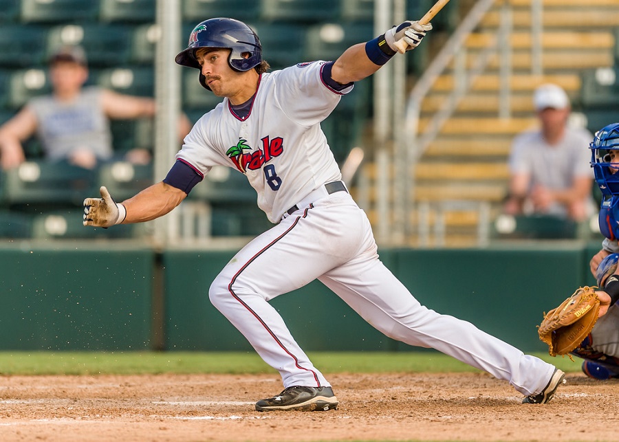 More information about "Twins Minor League Report (7/3): Arraez And Hanson Have Huge Hits"