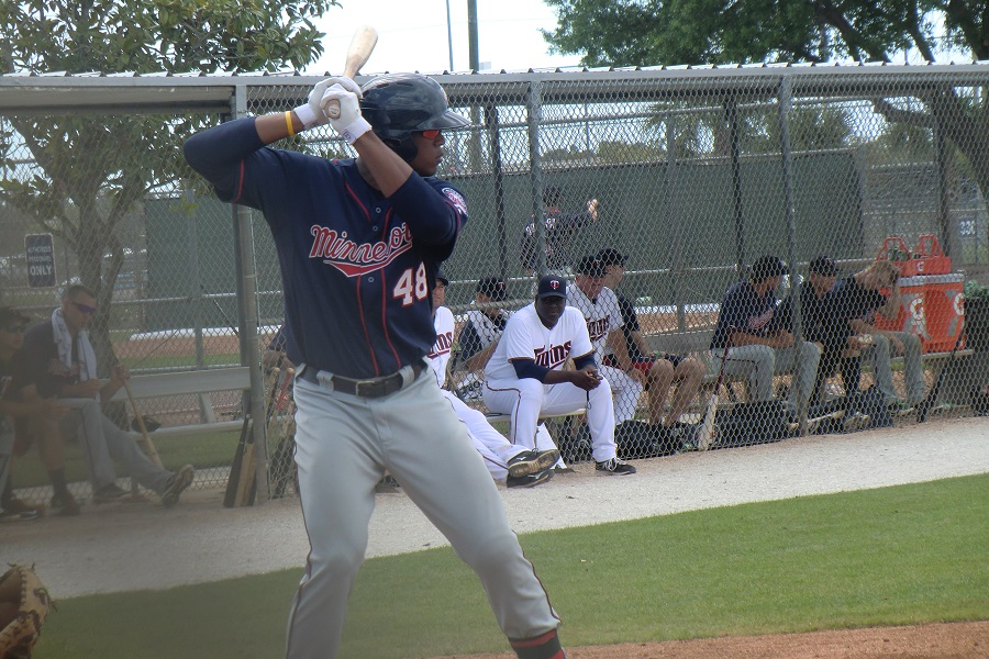 Twins Minor League Hitter Of The Month - June 2015