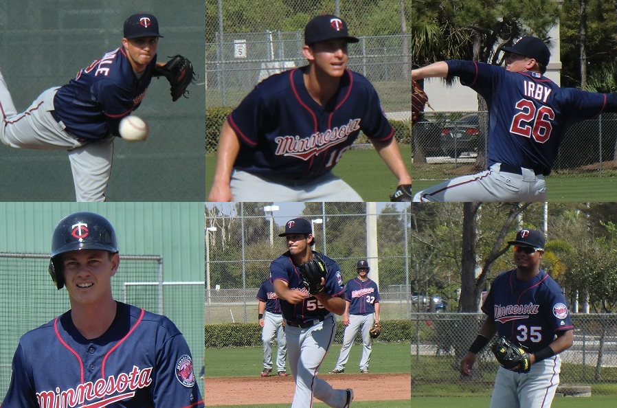 Twins Minor League Leaderboard (Through 5/20)