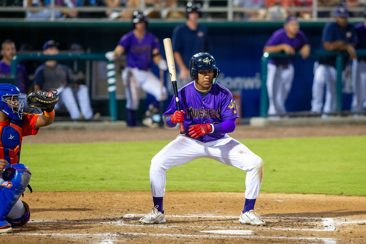 The Lumix Diaries Takes in Minnesota Twins Baseball