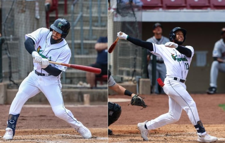 Twins Minor League Week in Review (4/10-4/16)