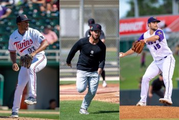 Top Twins Minor League Performers in Season's First Half