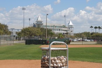 Twins Minor League Report (6/12): Complex Losses