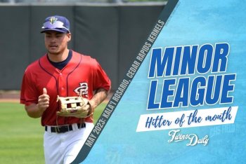 Twins Minor League Hitter of the Month - May 2023