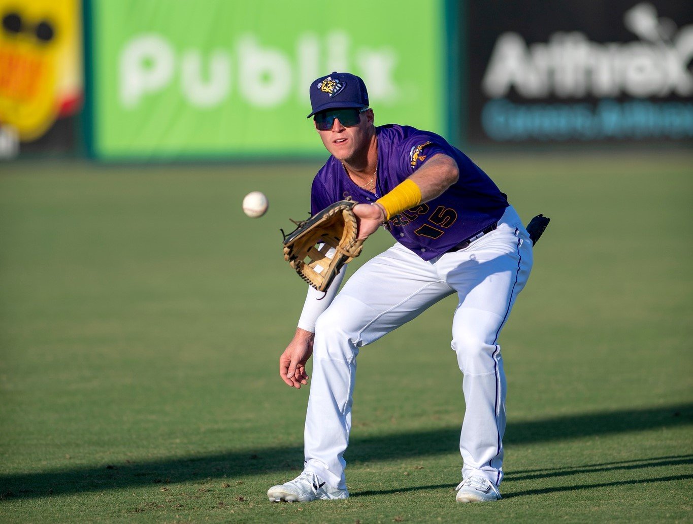 Down on the farm: How area players are faring in minor league baseball