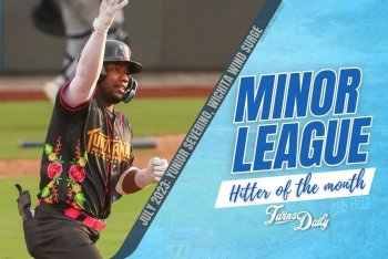 Twins Minor League Hitter of the Month: July 2023