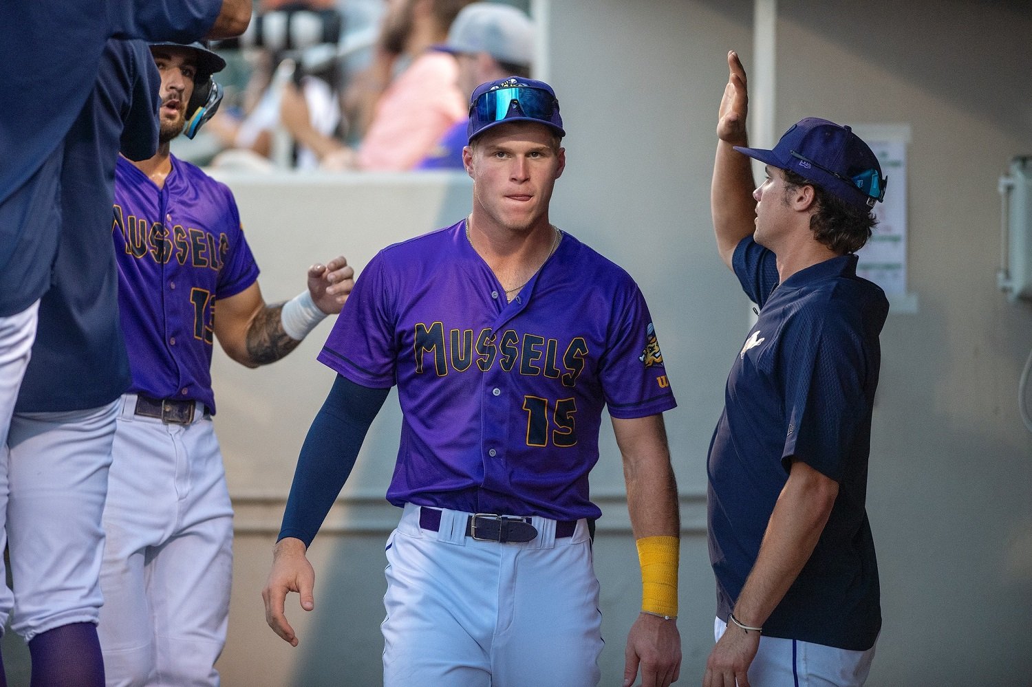 Fort Myers Mighty Mussels part of revised Low-A Florida State League