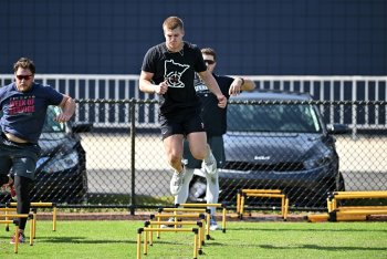 Could Walker Jenkins Go on a Holliday Tour?