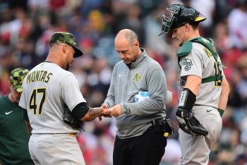 Can the Paparesta Program Pay Off Again in Year Two?