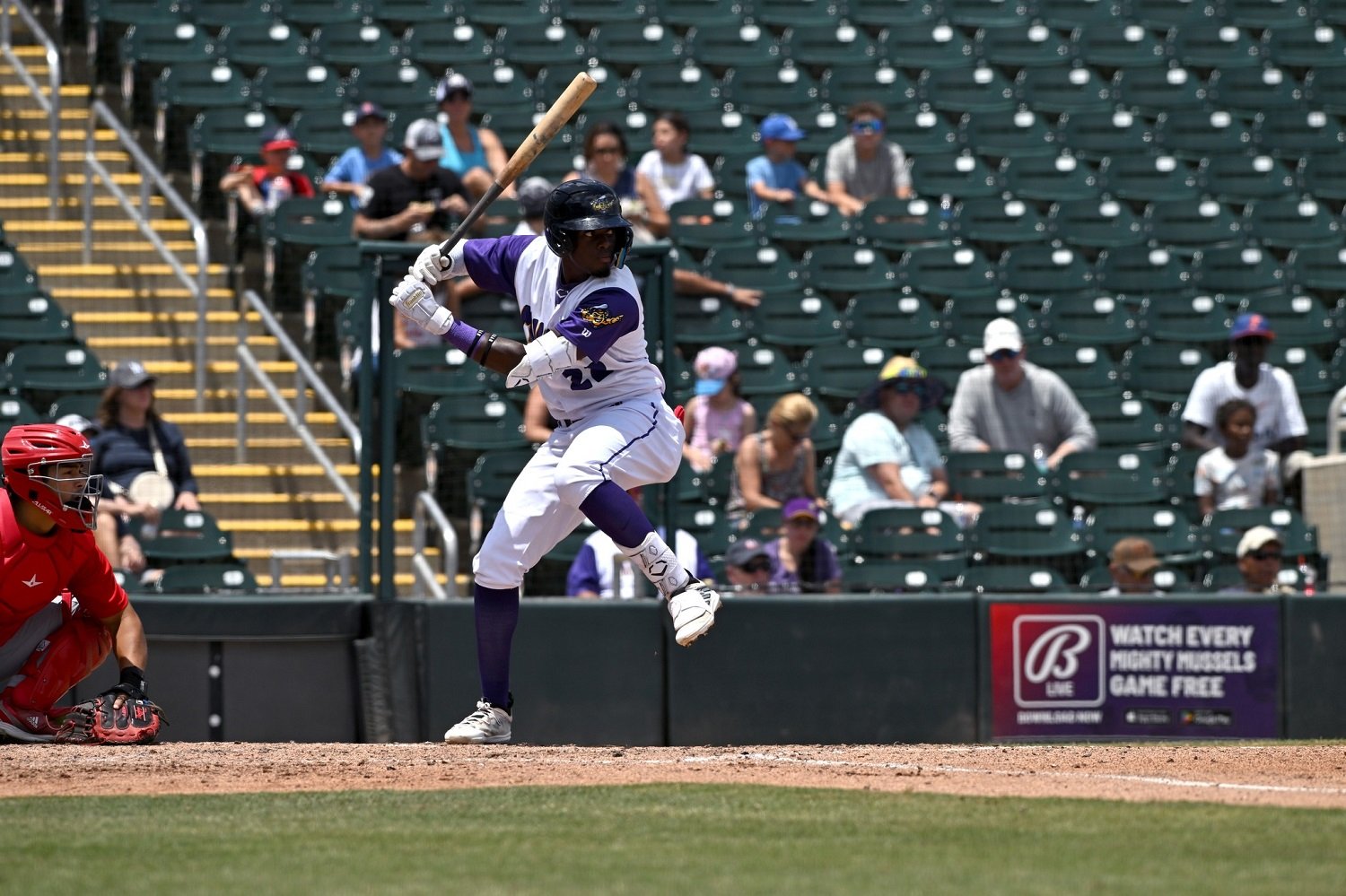 Minor League Report (5/5): Doncon Makes it Rayne - Minor Leagues ...