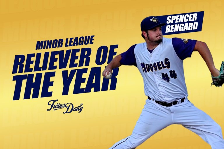 Twins Minor League Relief Pitcher of the Year: 2024