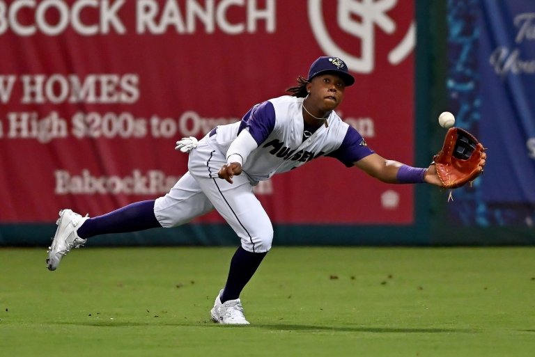 Twins Daily's Top 20 Minnesota Twins Prospects: #20-#16