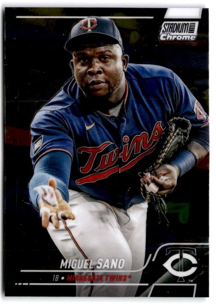 Miguel Sanó Baseball Card Image