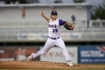 Twins Minor League Report (4/17): Eli Jones Dominates and Kyler Fedko's Power Surge