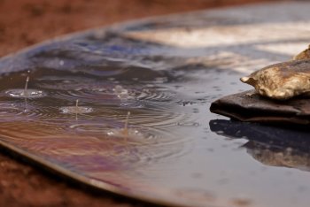White Sox 3, Twins 0 (F/7): Twins Drop Ugly, Wet Finale to White Sox