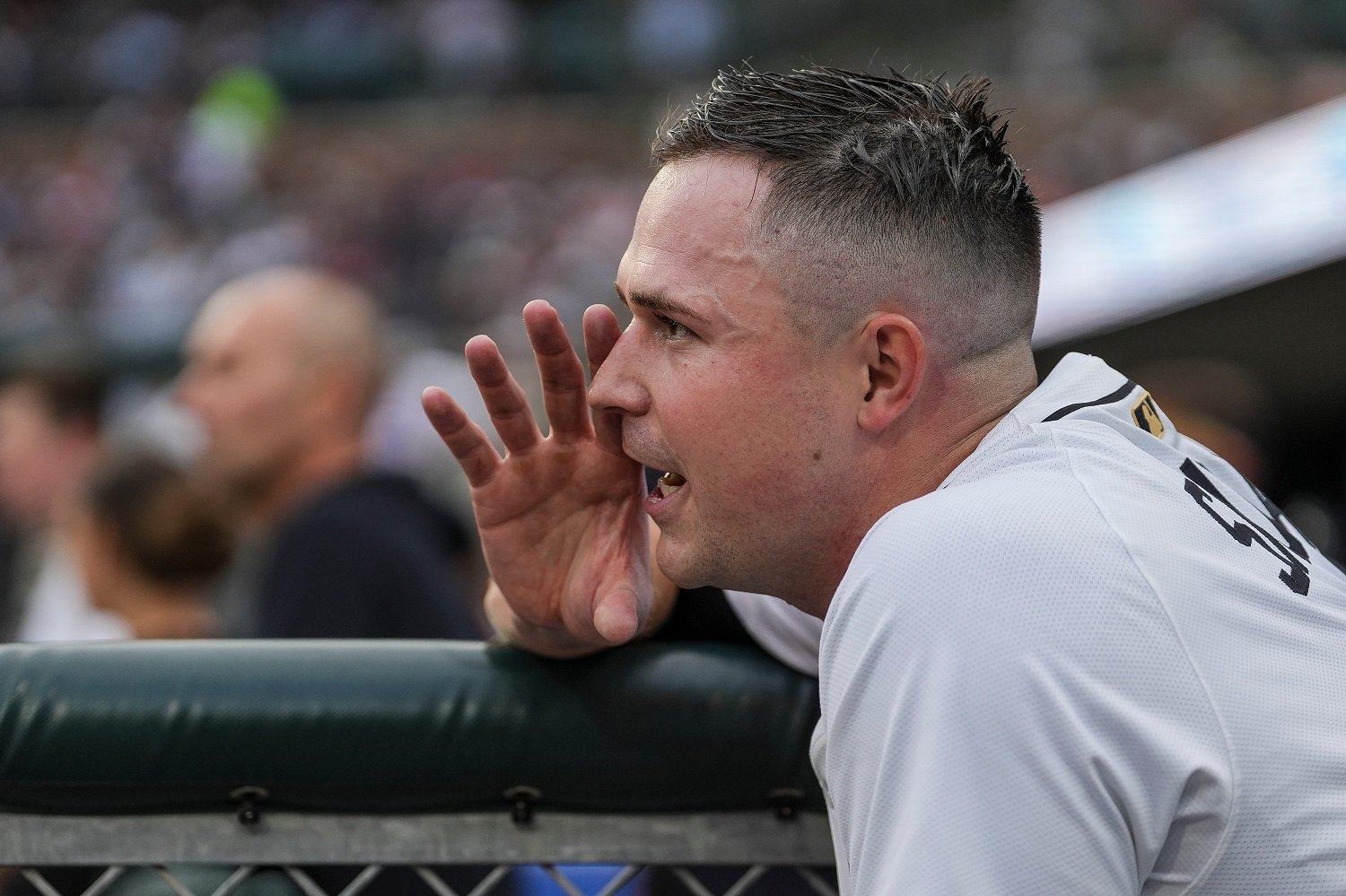 More information about "The Detroit Tigers Are For Real, and the Twins Should Take Notice"