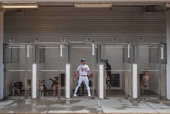 Bonnes Family Adopts Abandoned Twins Slugger From Local Shelter