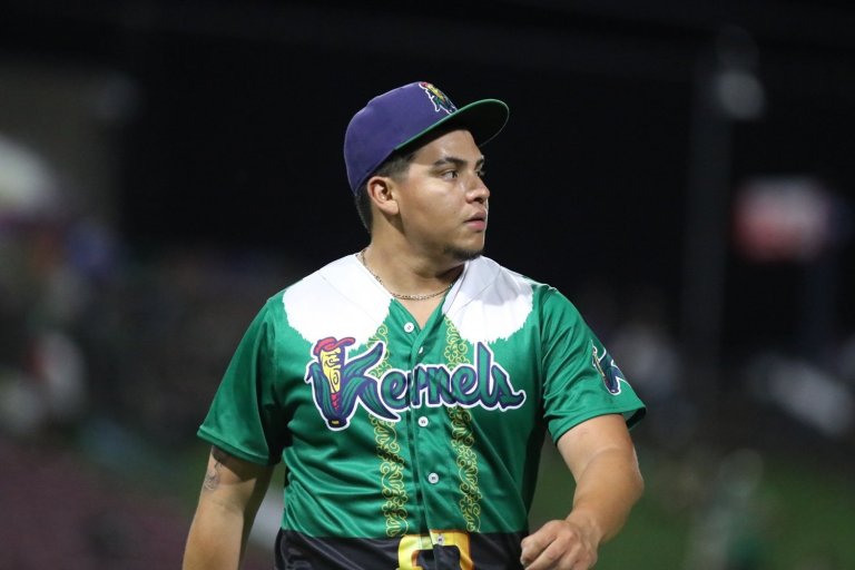 Minnesota Twins Minor League Relievers Of The Month - July 2025