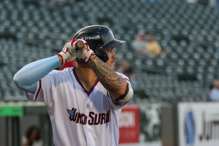 Minnesota Twins Minor League Hitters of the Month - August 2025