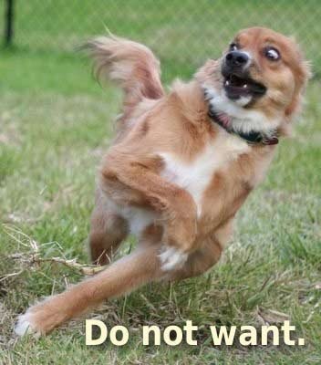 Do-not-want-dog.jpg.25f2871e7e06c735972f0e3fce8e4f08.jpg