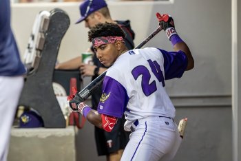 Twins Minor League Report (4/15): James Ellwanger Favors Zeroes