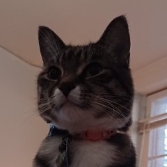 krink